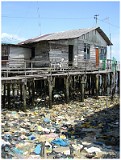 Healthy Living, Indonesia